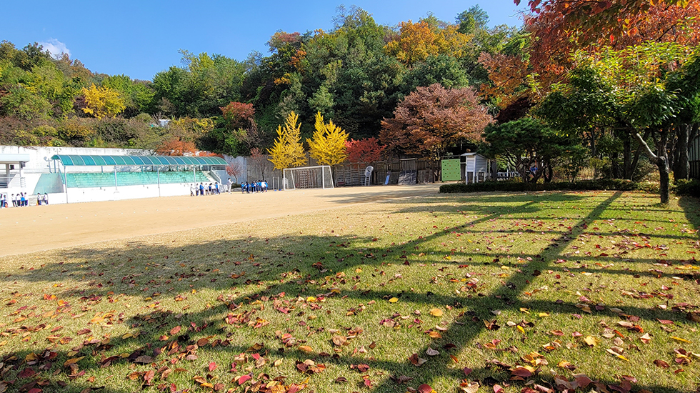 학교 소개 사진