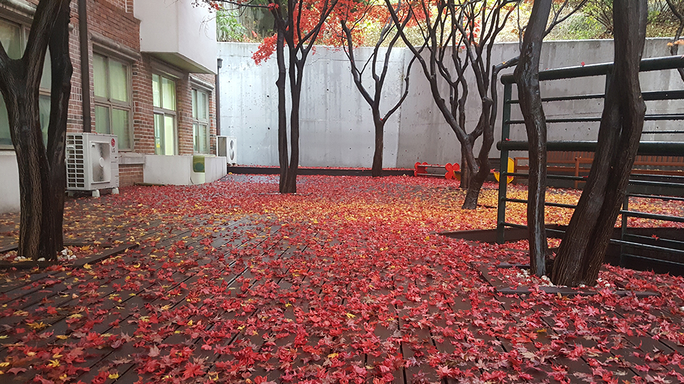 학교 소개 사진